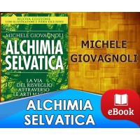 Alchimia selvatica - La via del risveglio attraverso le arti magiche del bosco
