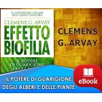Effetto biofilia - Il potere di guarigione degli alberi e delle piante